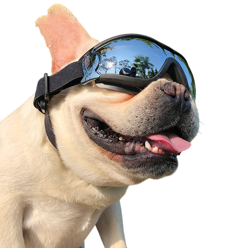 Pet Sunglasses Dog Windproof Glasses Accessories Goggles