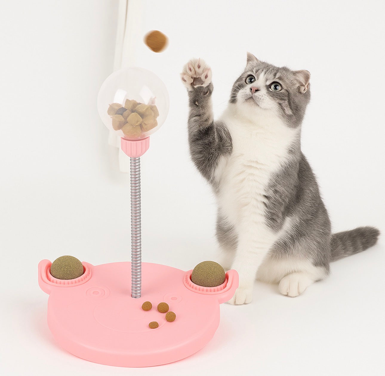 Pet Feeder Cat and Dog Toy