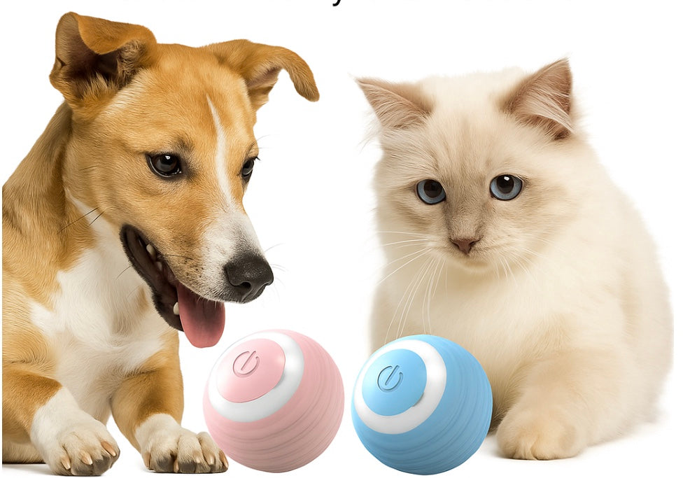 Automatic Moving Bouncing Rolling Ball for Cats and Dogs